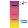 Low pool pH can corrode metal pool surfaces. swimming pool low pH indicator